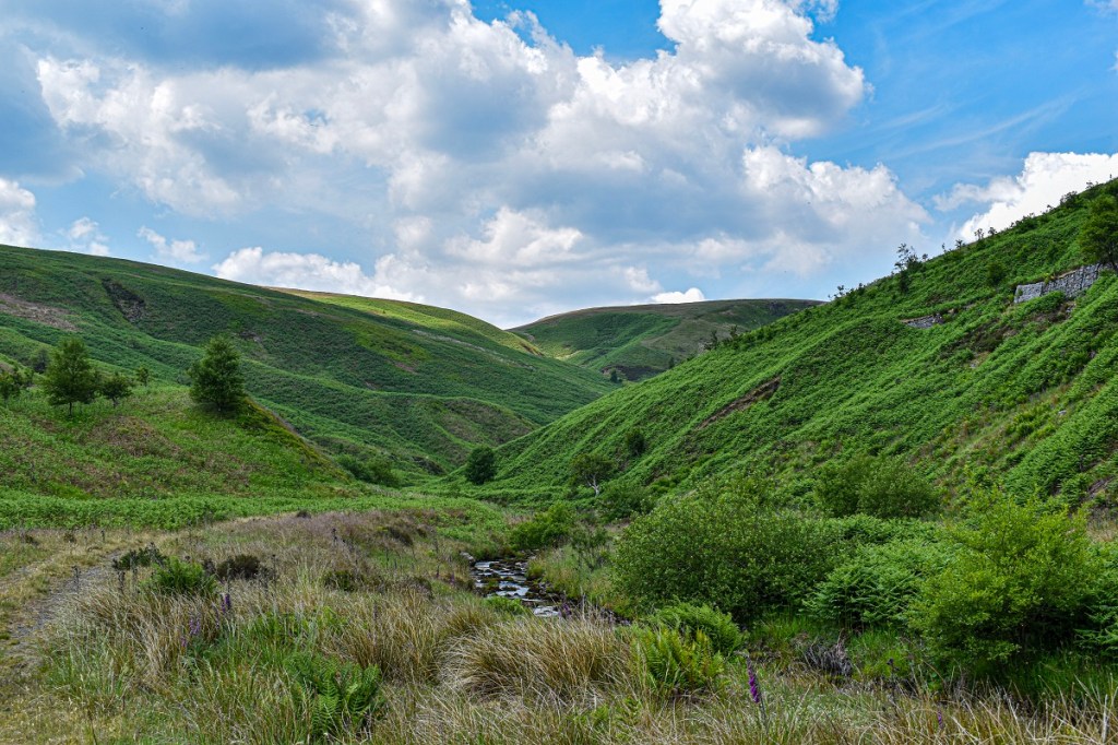 Welcome to the Jungle