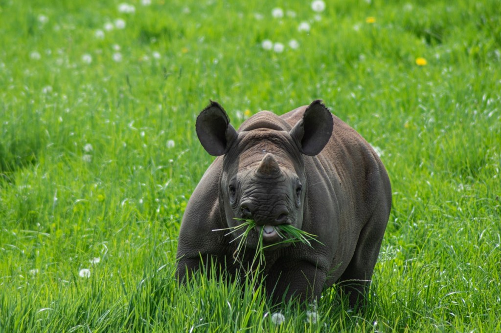 “I could do that”